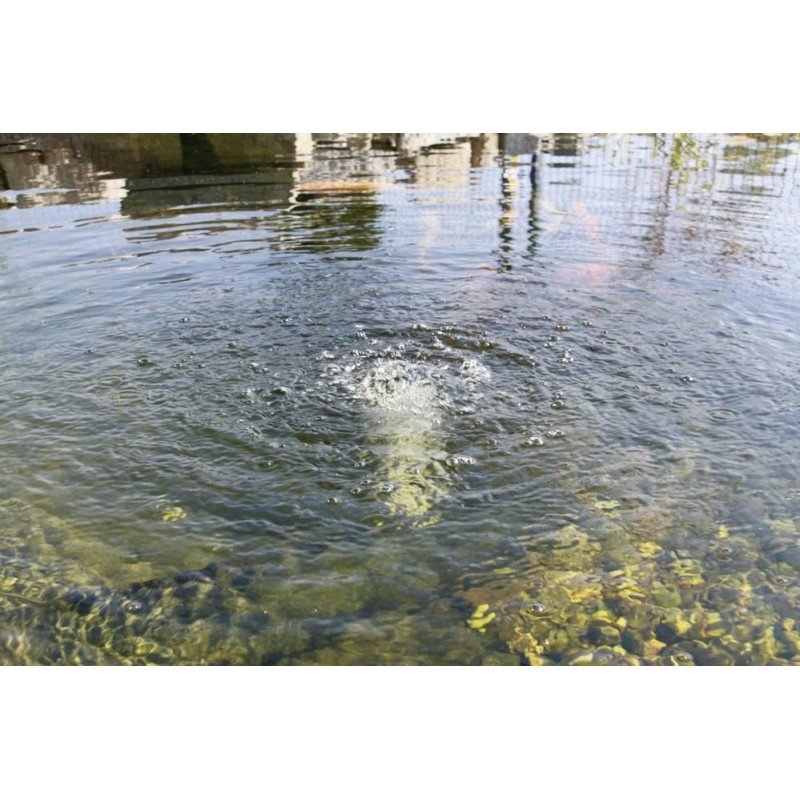 Aerator solar iaz - balta pesti Aerator solar iaz - balta pesti - Panouri Fotovoltaice